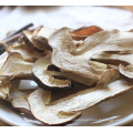 Wild Mushroom Dry Boletus Edulis Dried Porcini Mushroom